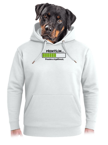 Gondolkodom unisex prémium pulóver Snowwhite