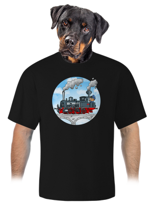 unisex túlméretezett póló