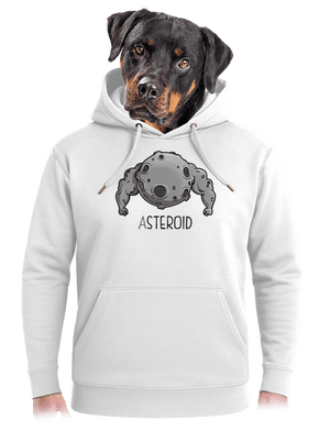 Asteroid unisex prémium pulóver Snowwhite