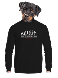 unisex crewneck