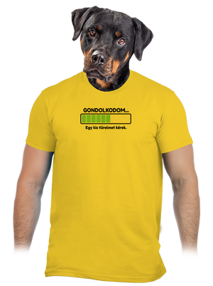 Gondolkodom férfi póló Gold