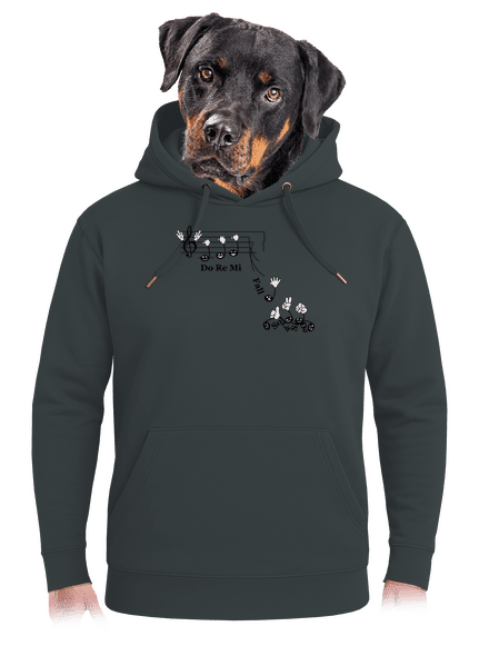 Do re mi fall unisex prémium pulóver Charcoal