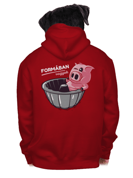 Formában cipzáras férfi pulóver Red
