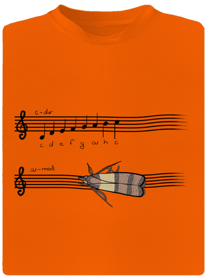 A - moll gyerek sport póló Neon Orange