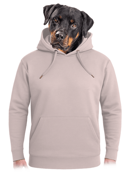 Nyomtatás nélkül unisex prémium pulóver Rose Chalk