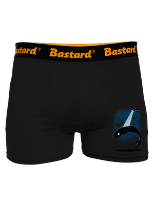 boxeralsó