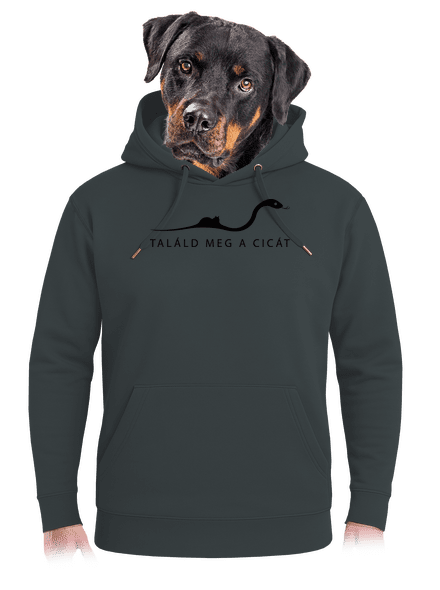 Találd meg a cicát unisex prémium pulóver Charcoal