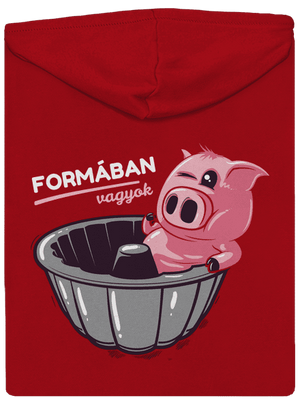 Formában cipzáras férfi pulóver Red