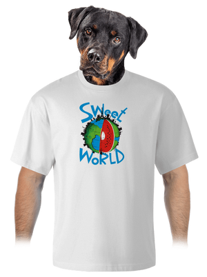 Sweet world unisex túlméretezett póló White