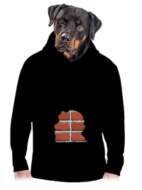 férfi kenguruzsebes pulóver