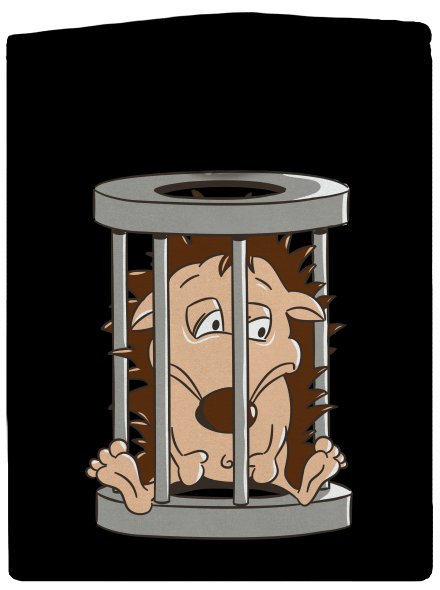 Sün a ketrecben cipzáras női pulóver Black