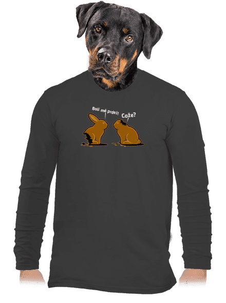 Fáj a seggem! férfi hosszú ujjú póló Dark Grey