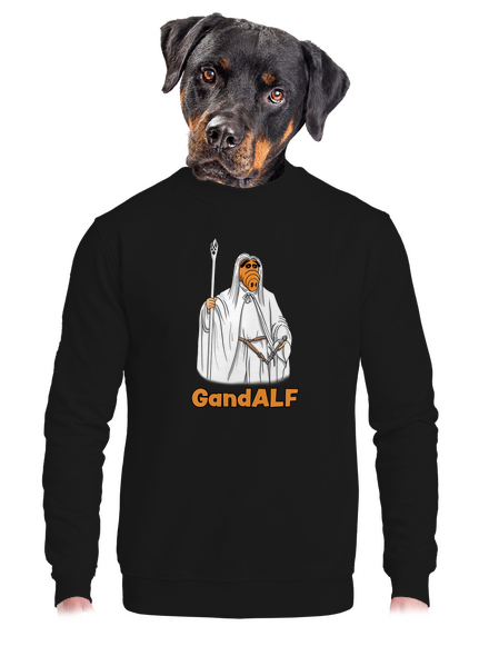 GandALF unisex crewneck Black