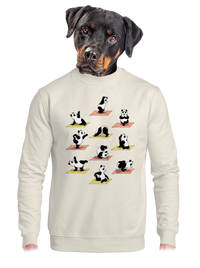 unisex crewneck