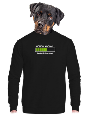 Gondolkodom unisex crewneck Black