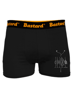 boxeralsó