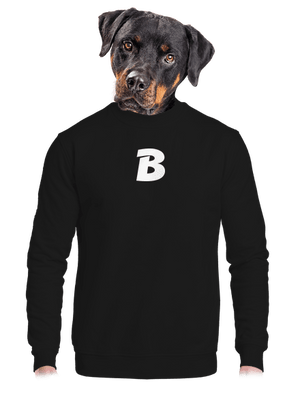 unisex crewneck