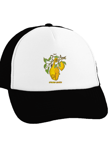 Citrom teherautós sapka Black cap