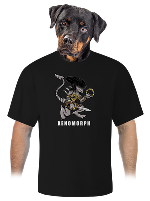 unisex túlméretezett póló