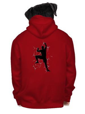 cipzáras férfi pulóver