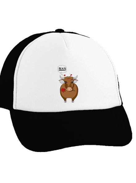 Tehén és bika teherautós sapka Black cap
