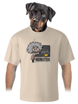 Neinstein unisex túlméretezett póló Almond