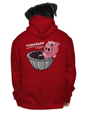 Formában cipzáras férfi pulóver Red