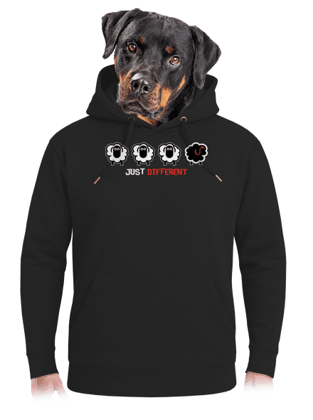 Fekete bárány unisex prémium pulóver Dark Black