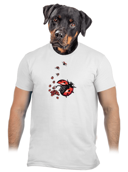 Ladybird Factory férfi póló White