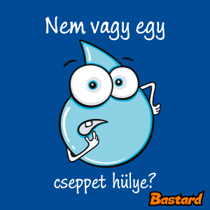 Nem vagy egy cseppet hülye?