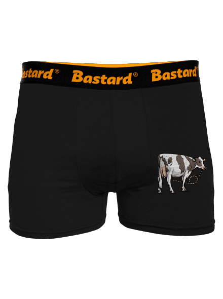 Cow drink boxeralsó Black