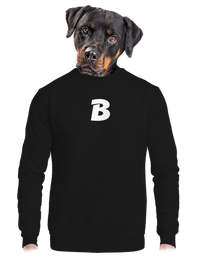 unisex crewneck