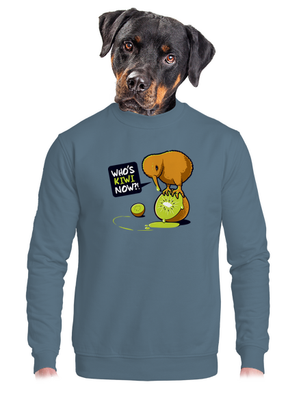 Kivi unisex crewneck Nordic Blue