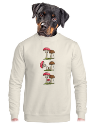 unisex crewneck