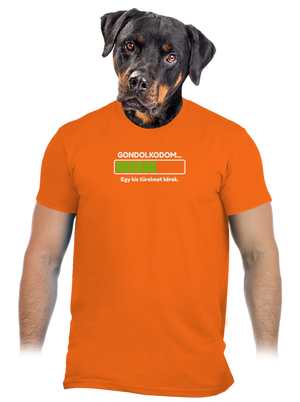 Gondolkodom férfi póló Orange