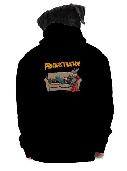 Procrastinathor cipzáras férfi pulóver Black