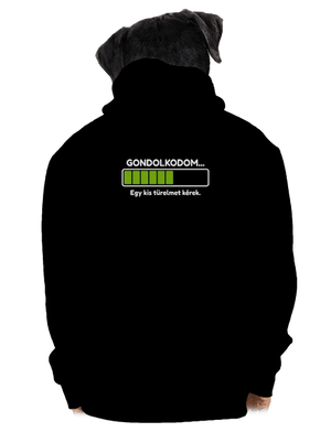 Gondolkodom cipzáras férfi pulóver Black