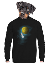 unisex crewneck