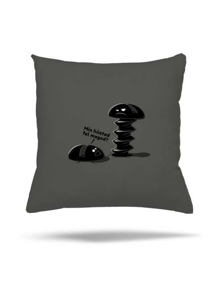 Felhúzva párna Gray Pol