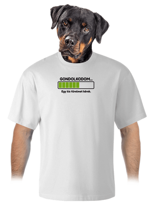 Gondolkodom unisex túlméretezett póló White