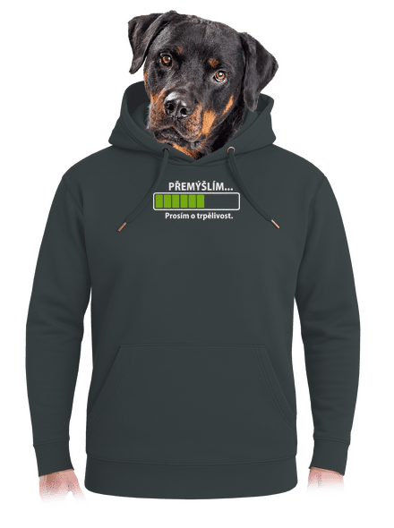 Gondolkodom unisex prémium pulóver Charcoal