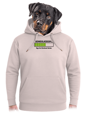 Gondolkodom unisex prémium pulóver Rose Chalk