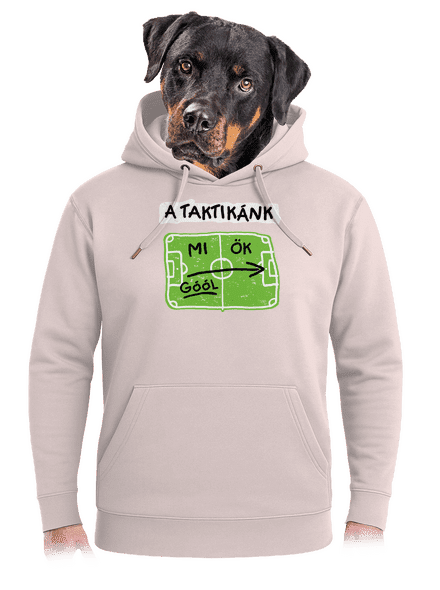 A futballtaktikánk unisex prémium pulóver Rose Chalk