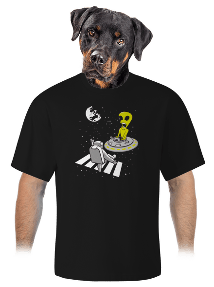 UFO crosswalk unisex túlméretezett póló Black