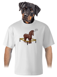 unisex túlméretezett póló