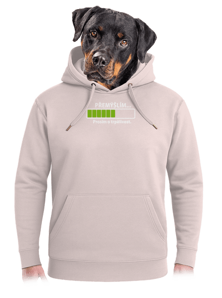 Gondolkodom unisex prémium pulóver Rose Chalk