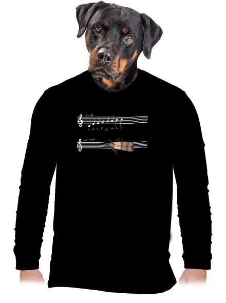 A - moll férfi hosszú ujjú póló Black