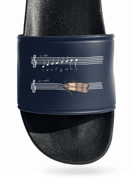 A - moll papucs Navy