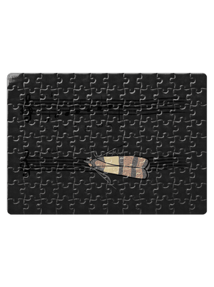 A - moll kirakós White