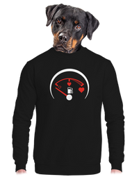 unisex crewneck